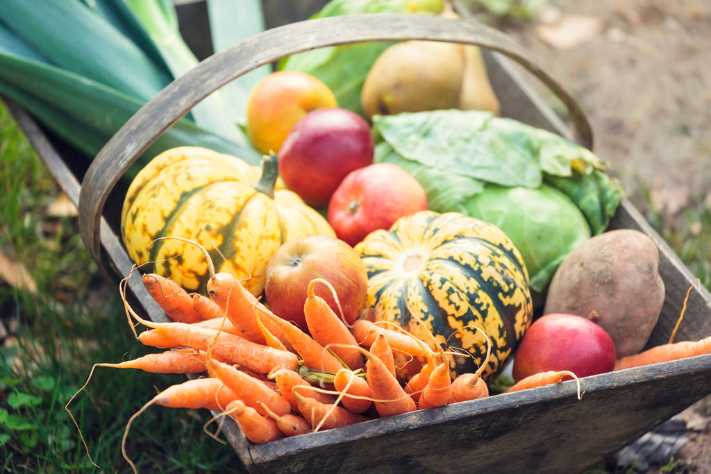 Is your Garden Ready for Fall?