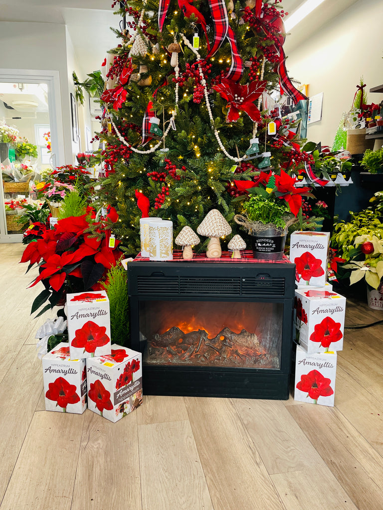Decorated Christmas tree with red ribbons and poinsettias, fireplace, and Amaryllis boxes in a store setting.