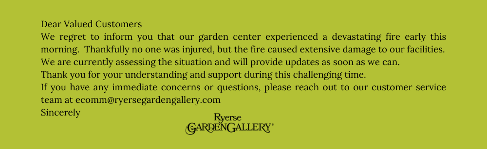 Ryerse Garden Gallery Garden Center – Ryerse's Garden Gallery